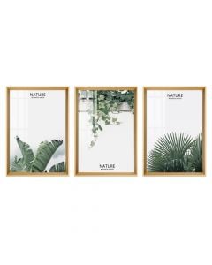 Framed painting, Nature Botanical, set 3 pieces, wooden/paper, colorful, 32.5xH47.5 cm