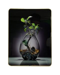 Picture in frame, "Plant", colorful, 30x40 cm