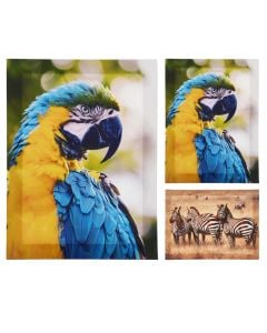 Pikturë në kanavas, Animal, të ndryshme