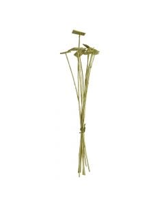 Natural dried flowers, golden, 70 cm