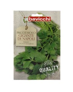 Herbs plant seeds, parsley gigante di napoli