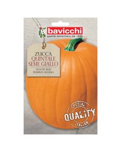 Farë perime, kungulli seme giallo