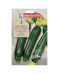 Vegetable seeds, squash black beauty