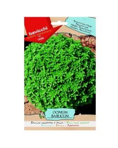 Farë bimë aromatike, borziloku