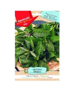 Farë bimë aromatike, menta piperita