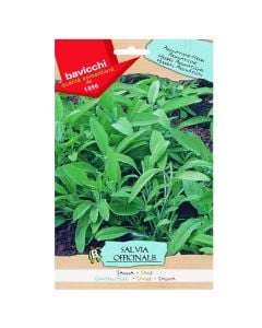 Farë bimë aromatike, sherebele