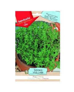 Herbs plant seeds, thyme