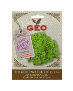 Farë perime, sallatë leaf gren lattuce bio