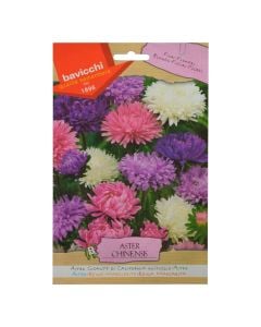 Flowers seeds, aster