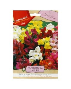 Flowers seeds, snapdragon