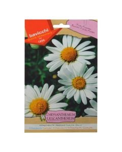 Farë lule, chrysanthemum leucant