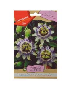 Flowers seeds, passion flower