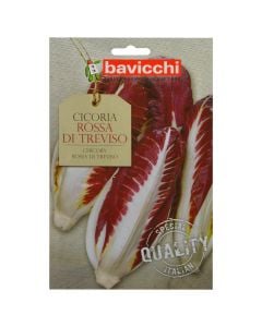 Vegetable seeds, cicoria trevizo