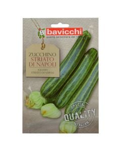 Vegetable seeds, zuchino napoli