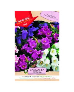 Flowers seeds, canpanula