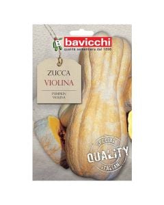 Vegetable seeds, pumkin violina