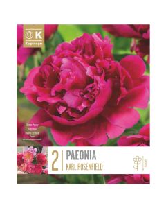 Perennial bulbs, paeonia lactiflora karl rosenfield , 2 pieces/pack