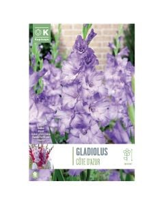 Bulba, gladiolus cote d'azur