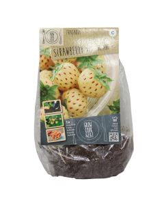 Bulba, luleshtrydhe anannasia white, 1 copë/pako