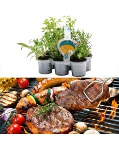 Aromatic herbs mix,  sixpack for meat in grill v.10