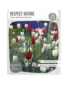 Bulbs, respect nature, amor, 25 pc/pack, 7 pc tulipa triumph red, white, 5 pc narcissus sailboat, 13 pc muscari armeniacum