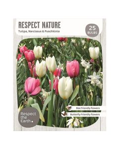 Bulbs, respect nature, romance, 25 cop/pack, 7 cop tulipa darwin hybrid pink, white, 4 cop narcissus sailboat, 14 cop puschkinia libanotica
