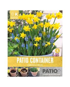 Bulba, për në tokë dhe në vazo, narcis, muscari, 25 cop/pako, 15 cop muscari armeniacum, 10 cop narcissus botanical tete a tete