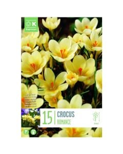 Bulbs, crocus specie romance, 15 pc/pack