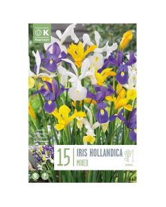 Bulba, iris hollandica mixed colours, 15 cop/pako