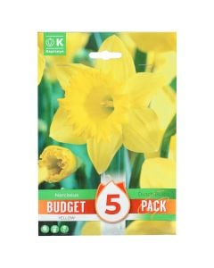 Bulbs, promotion budget pack, narcissus yellow , 5 pc/pack