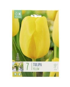 Bulbs, for ground and pot, yellow tulips, 7 pcs/pack, Yellow Tulips