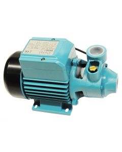 Vortex Pumps Power(kw):0.37 Power(HP):0.5 Inlet/Outlet:1"x1" Max.Flow(L/min):40 Max.Head(m):40 Max.Suct(m):8