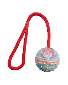 Toy for dog in the shape of a ball with rope, Trixie 3308, 30 x 7 cm, natural rubber