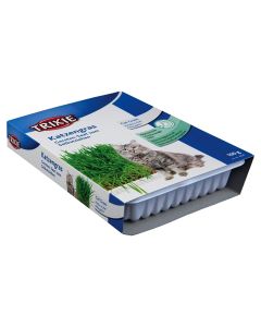 Cat grass, Trixie, 4235