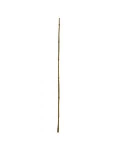 Bamboo sticks for gardening, Ø 24/26 mm - L.180 cm
