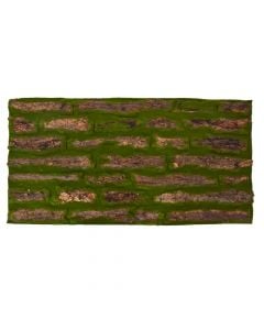 Decorative moss, with natural wood veneer, 100 x 50 cm