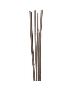 Set with natural bamboo for decoration, Videx, H120 x Ø 0.9 cm, natural