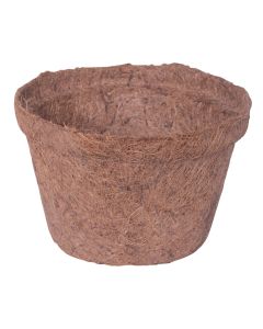 Vazo per celjen e bimeve, Videx, H10 x Ø 15,5 cm