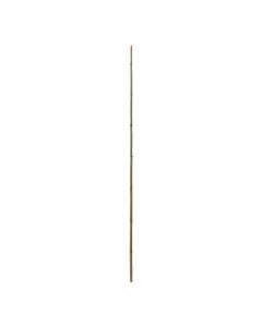 Bamboo natyral, Giardino Verde, H150 cm, Ø 10-12 mm