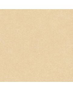 Leter muri, AS-Creation, Smart Surfaces, 10.05x0.53 m, uniforme,  Bezhe, Krem