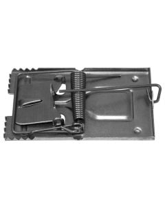 Cark për minj, 50x93 mm, hekur i luciduar