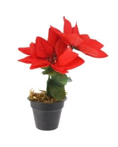 Christmas flowers, polyethylene, 3 flower branches, 17 cm