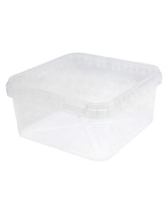 Kovë katrore me kapak për bulmete, plastike, transparente, 5.5 L / 24x24x13 cm