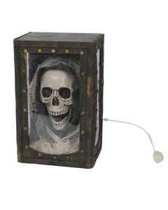 Talking skull in box, plastic,26x12x17 cm, beiege