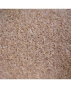Carpet, Pegasus, polypropylen, beige, 4 m x 6.5 mm