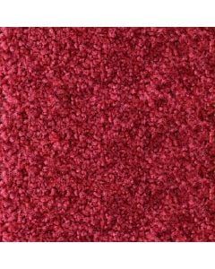 Carpet, Solaris, polyamide-non-stick layer, red, 4 m x 8 mm