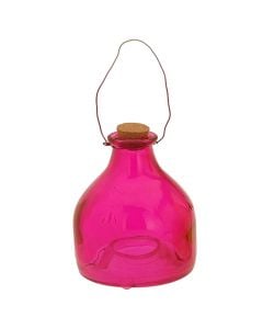 Wasp trap glass, Size: 13x9cm, Color: Assorted, Material: Glass