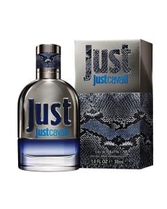 Eau de toilette (EDT) for men, Roberto Cavalli, Just Cavalli, EDT 30 ml, glass and metal, gray, 1 piece