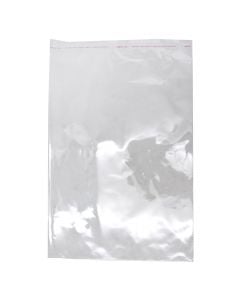 Plastic bag 24x37 cm, with closure, transparent