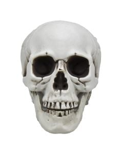 Halloween skull, 20x16x15 cm